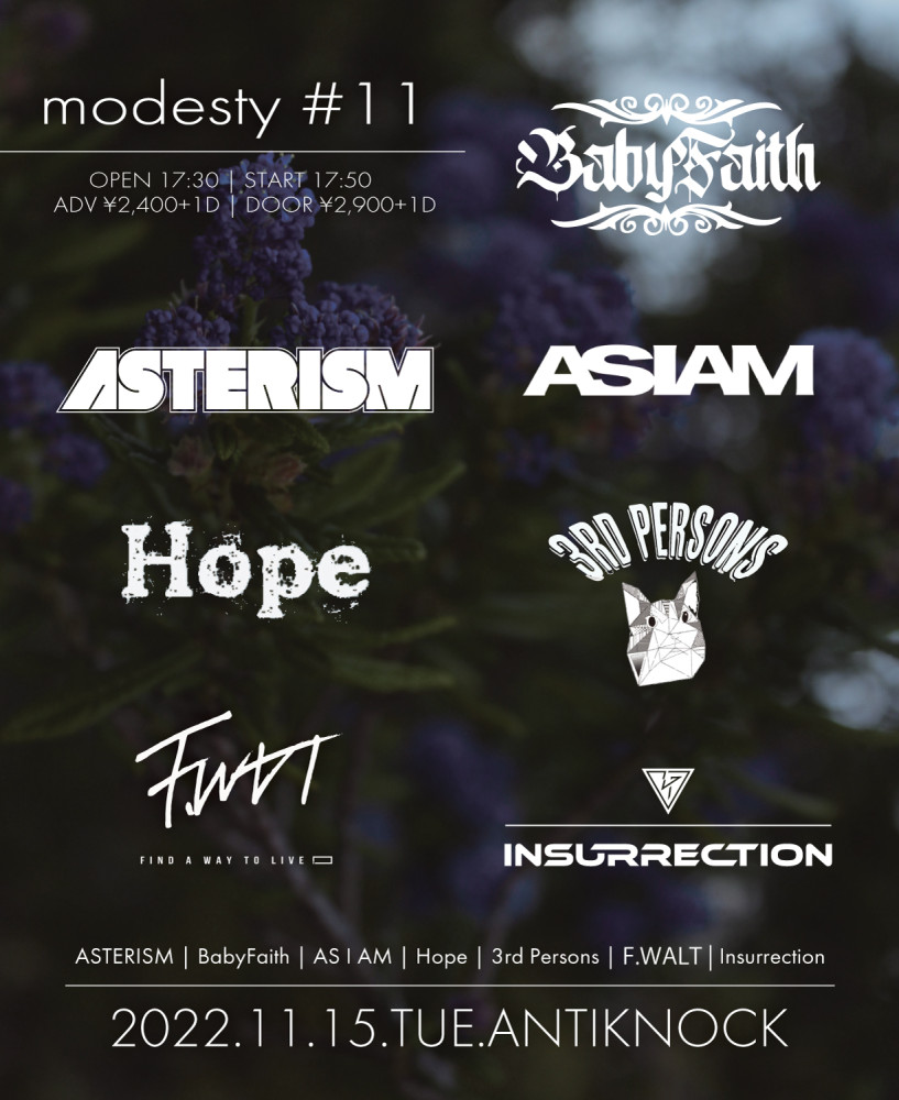 ANTIKNOCK pre. -modesty #11-